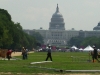 Washington_DC-004